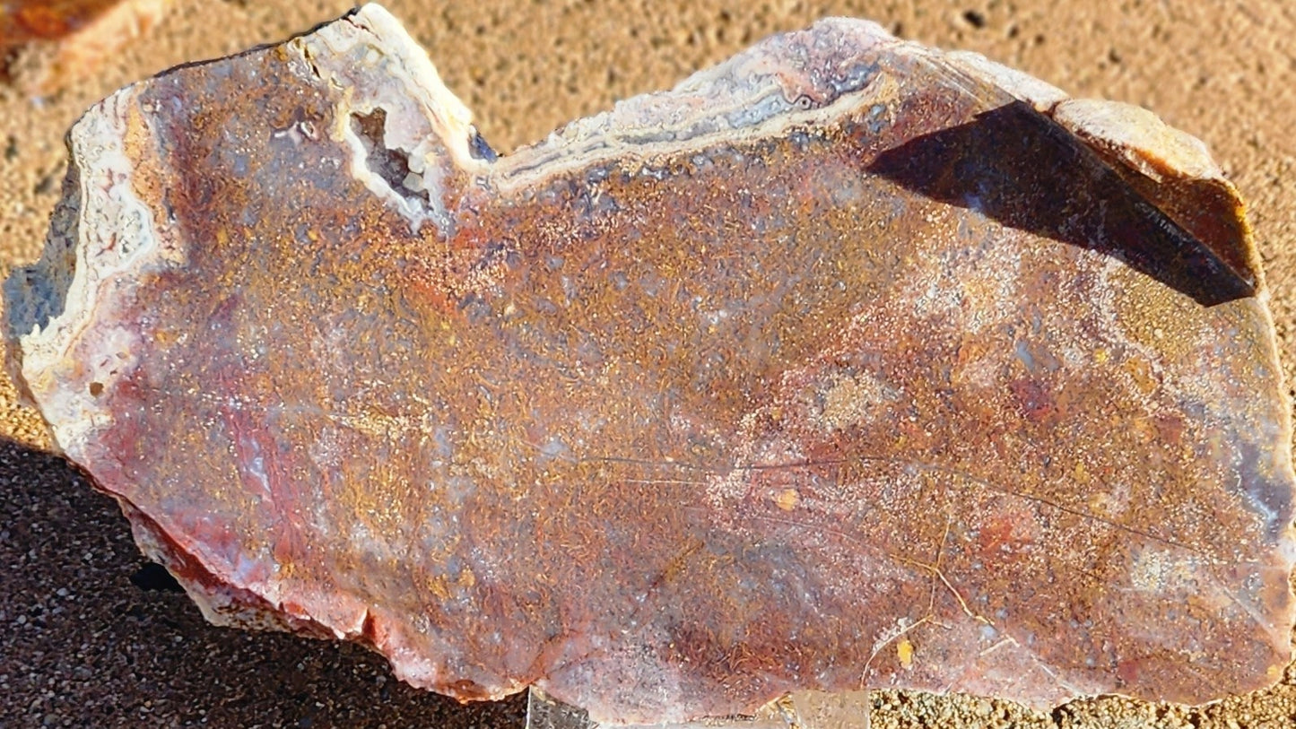 Gap Creek Red/Orange Moss Agate Slab