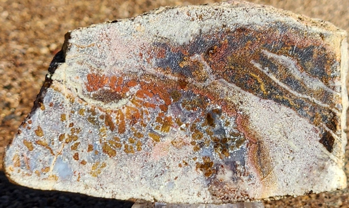 Gap Creek Orange Plume Agate with Onyx Slab