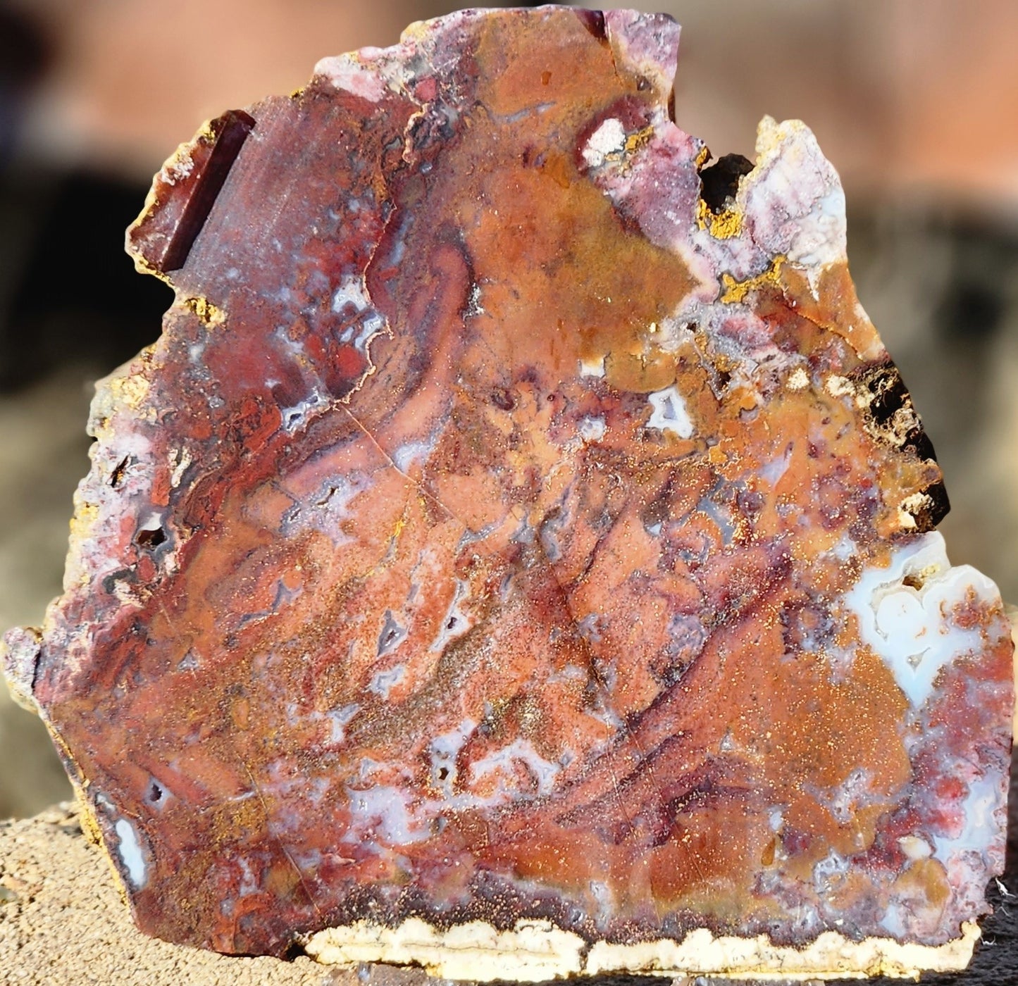 Rodeo Flats Red/Orange Moss Agate Slab