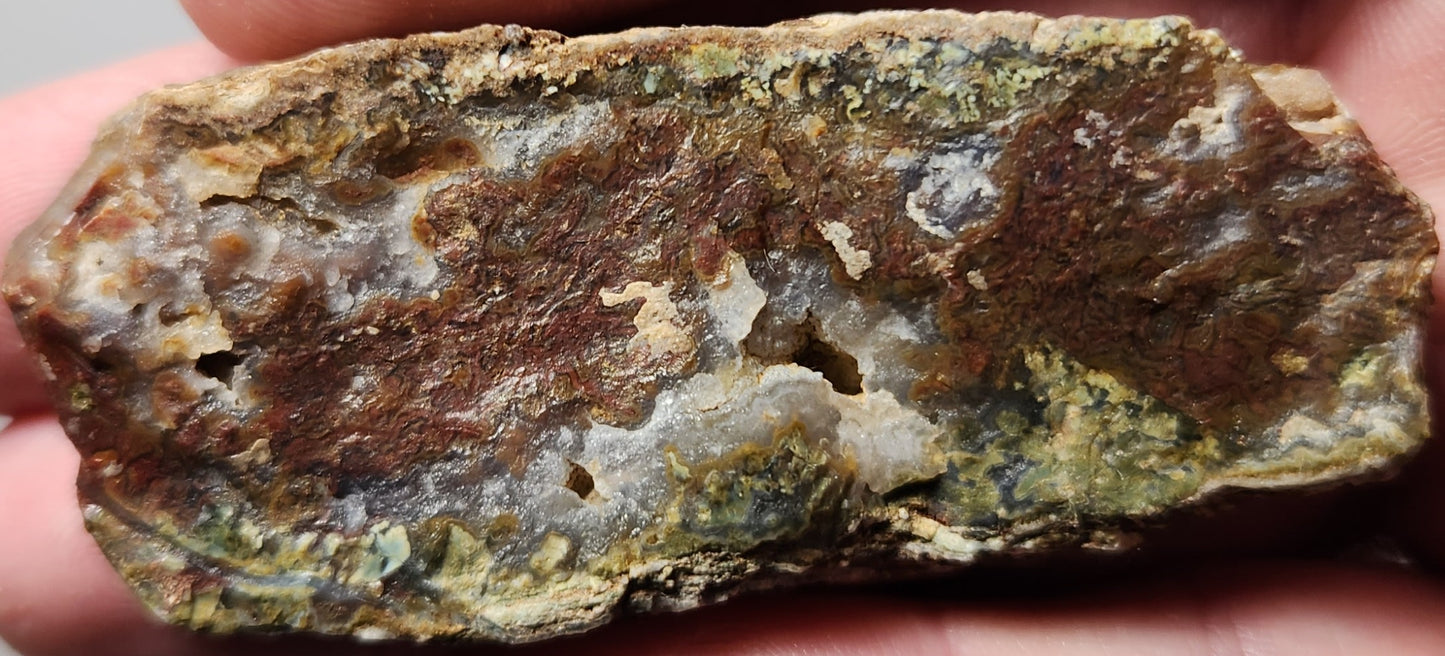 Rodeo Flats Dalle d’agate mousse rouge/orange (pièce d’extrémité)