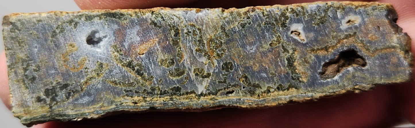 Rodeo Flats Green/Orange Moss Blue Fortification Agate Slab