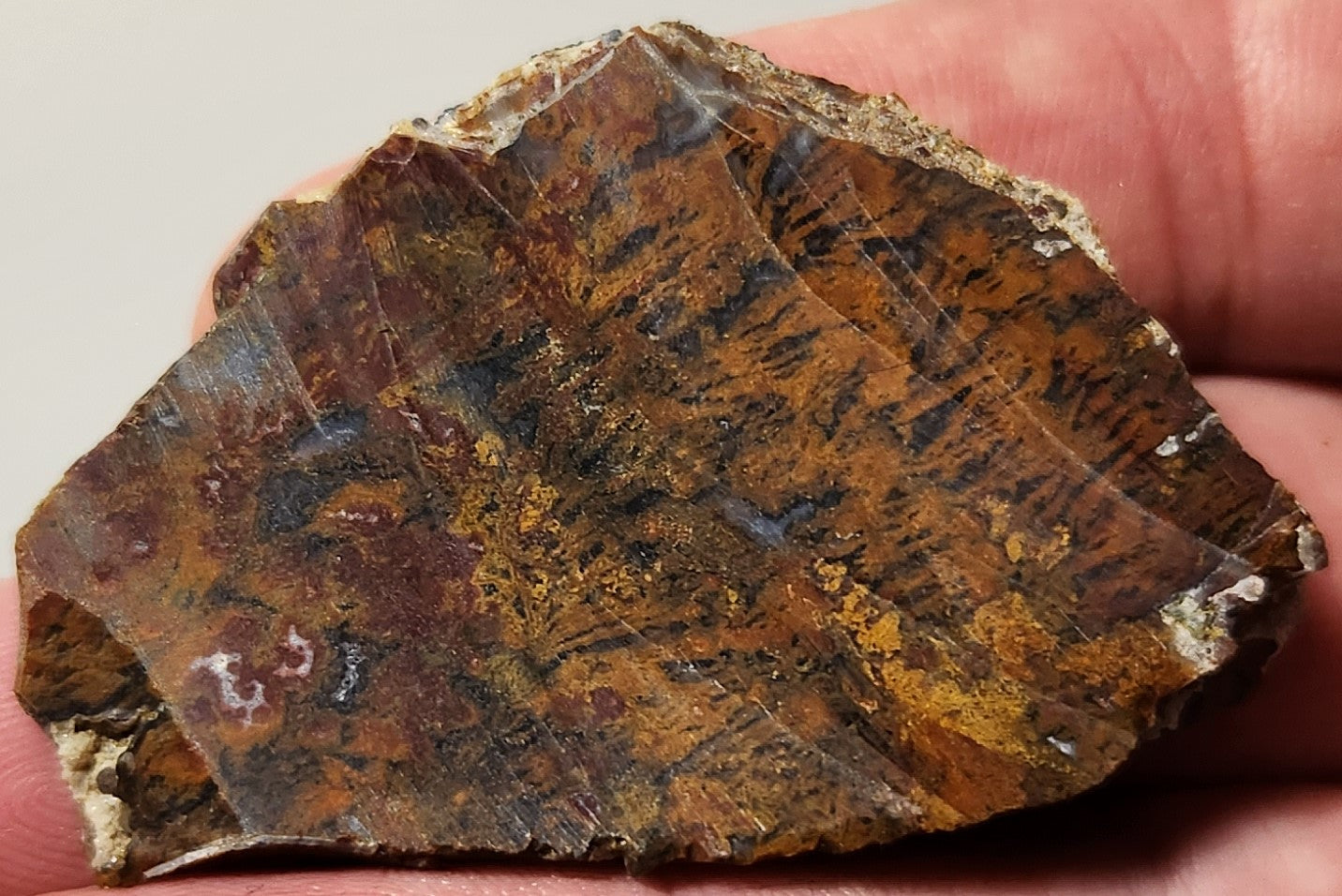 Bloody Basin Plume Agate Slab