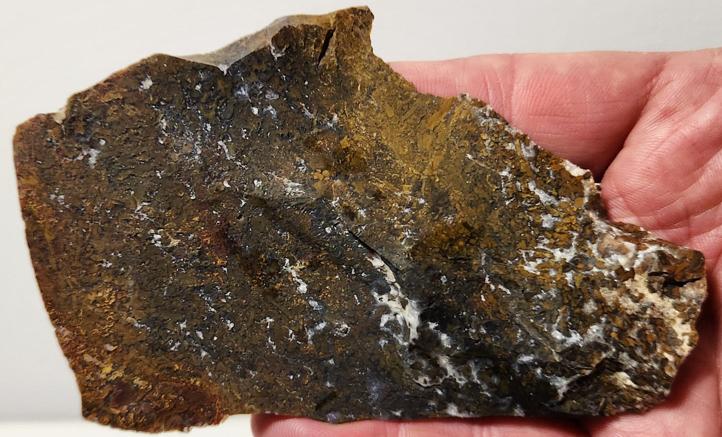 Bloody Basin Plume Agate Slab (End Piece)