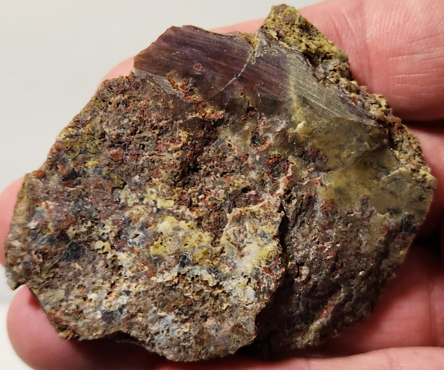 Bloody Basin Plume Agate Slab (End Piece)