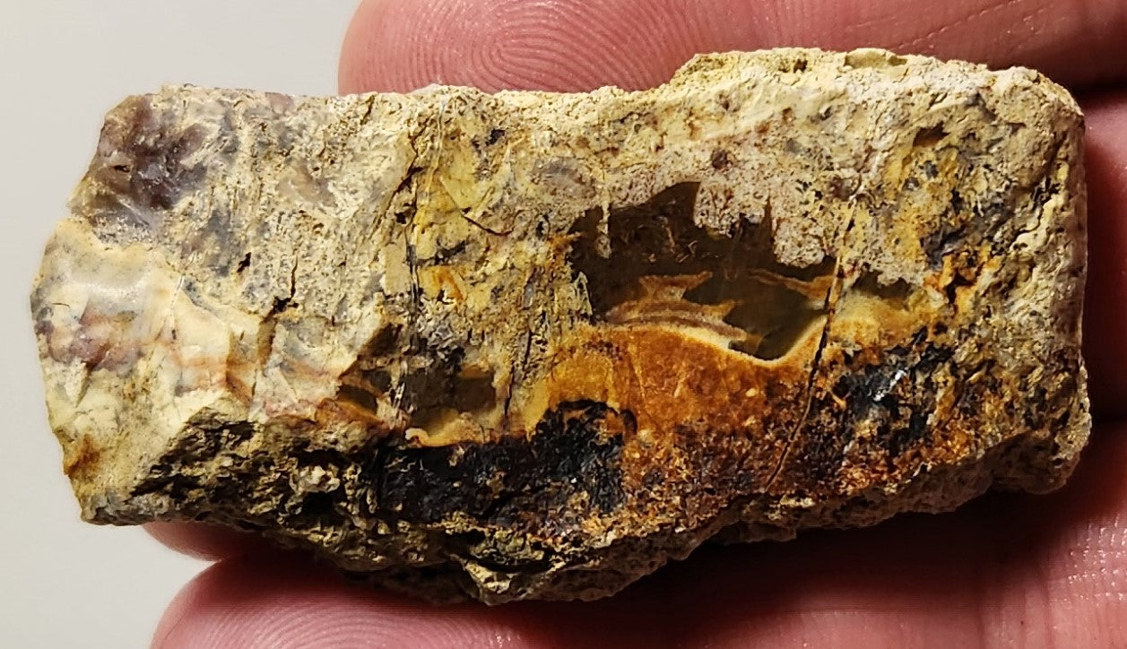 Bloody Basin Plume Agate Slab (End Piece)