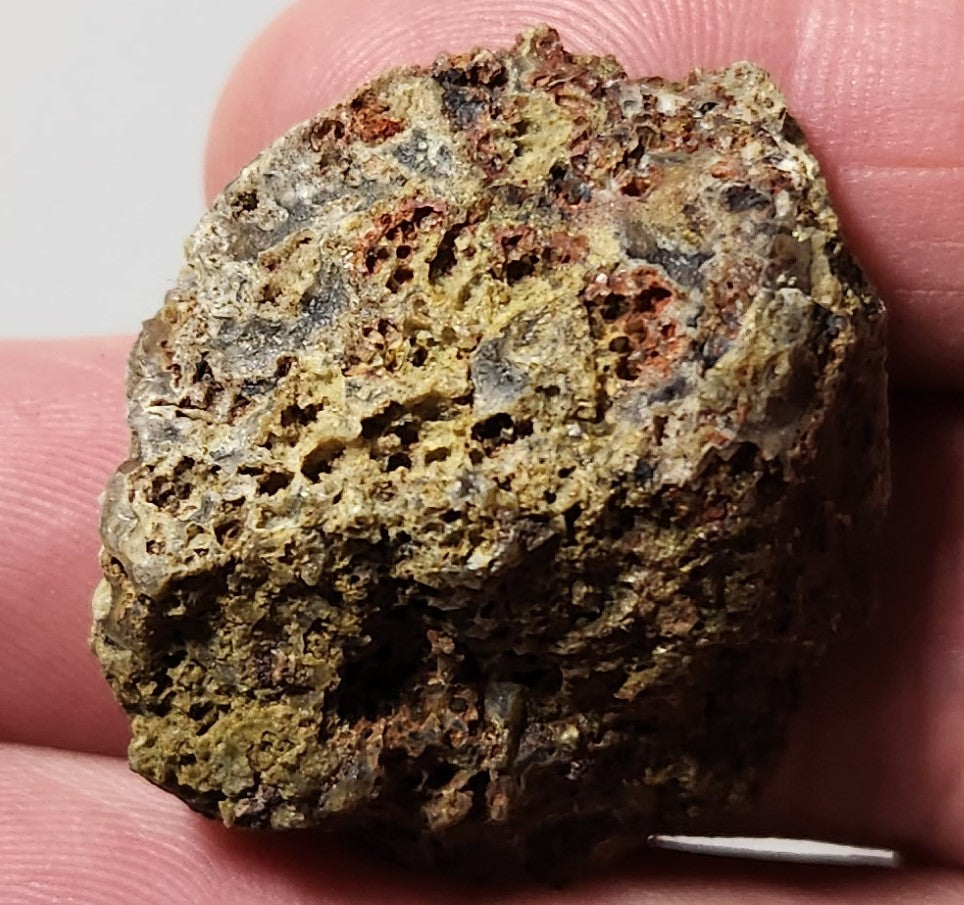 Bloody Basin Plume Agate Slab (End Piece)