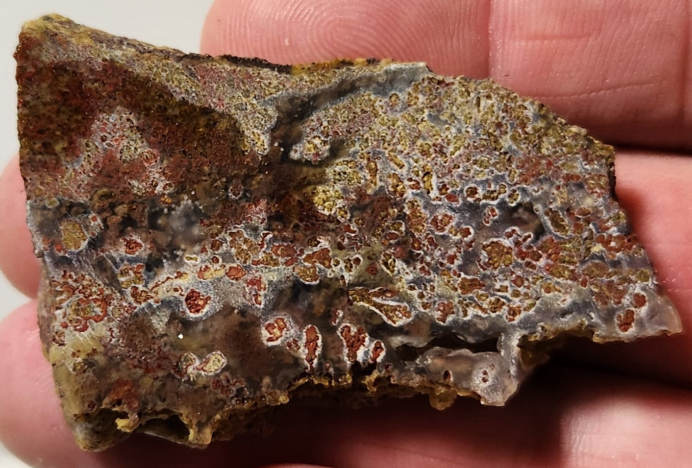 Bloody Basin Plume Agate Slab