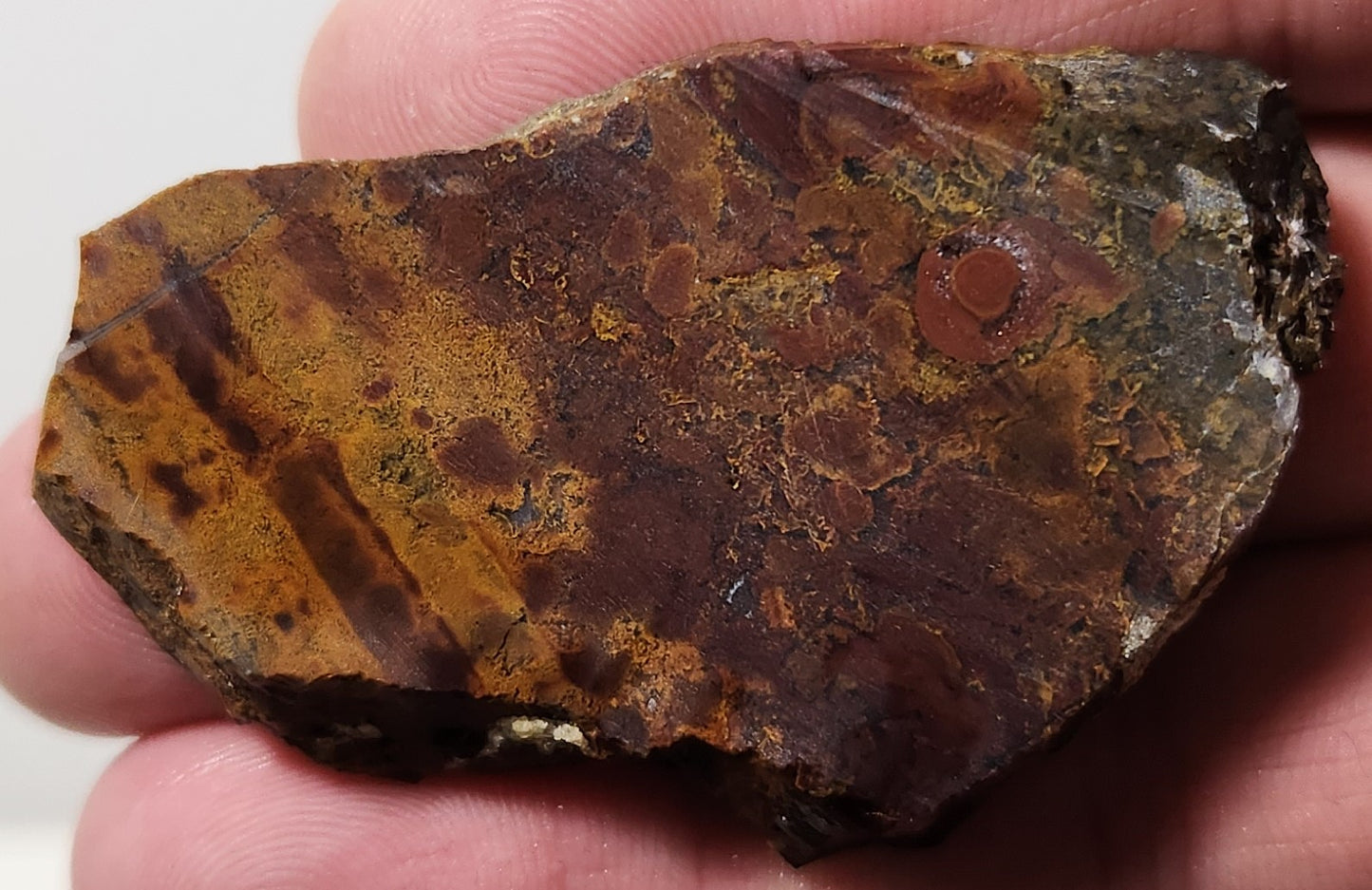 Bloody Basin Plume Agate Slab