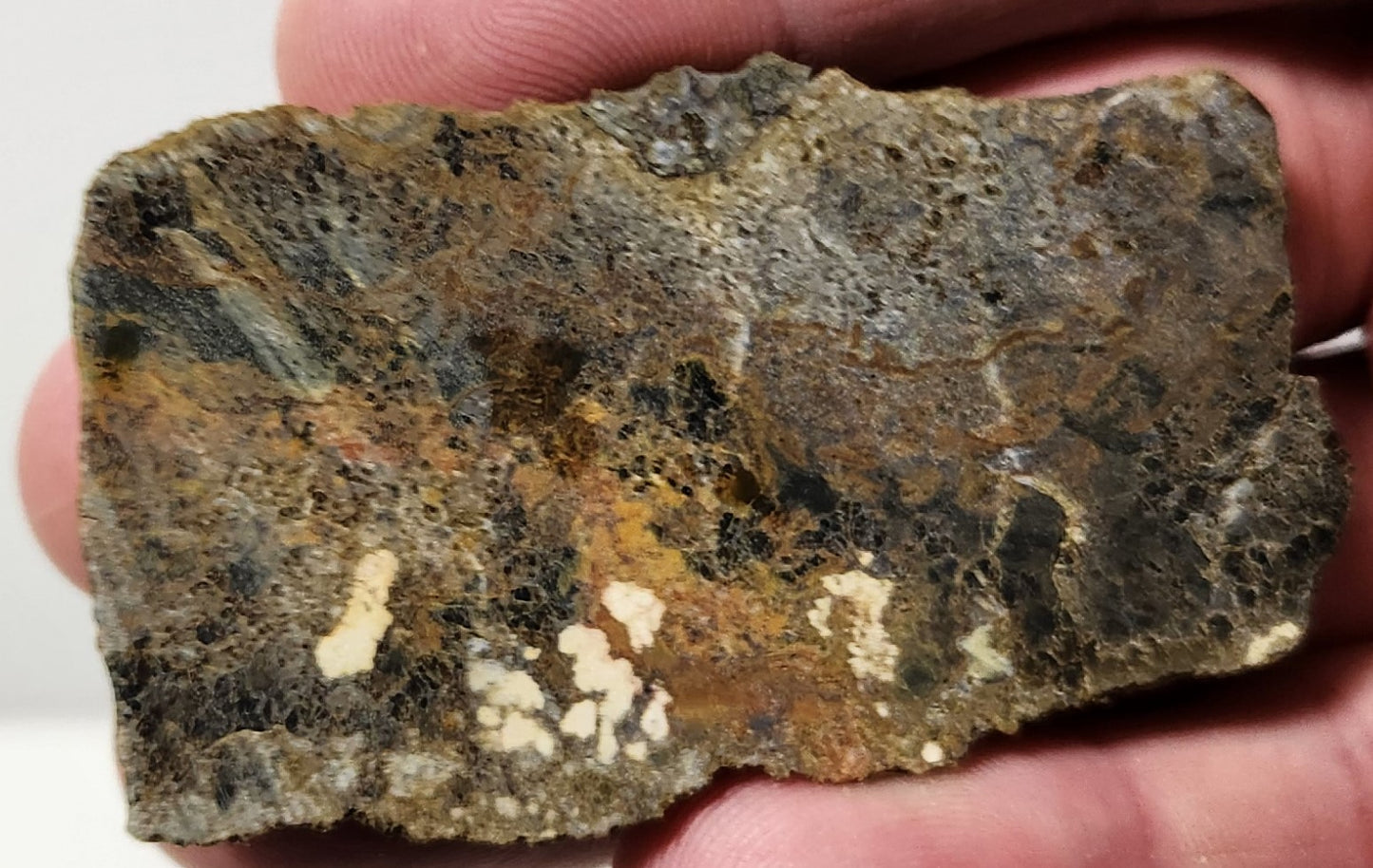 Bloody Basin Plume Agate Slab