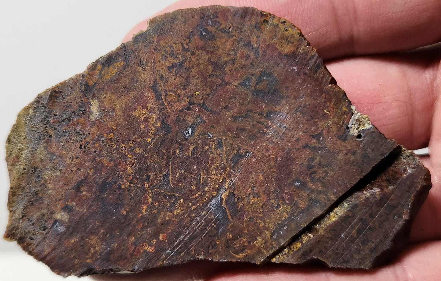 Bloody Basin Plume Agate Slab