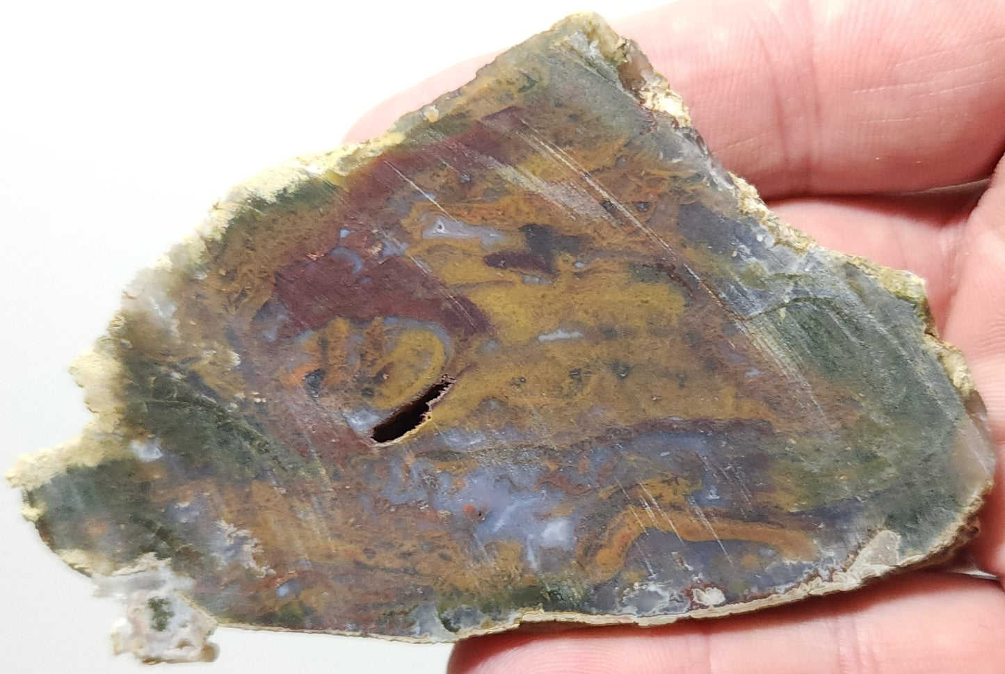 Rodeo Flats Red/Orange Plume with Blue Fortifications Agate Slab