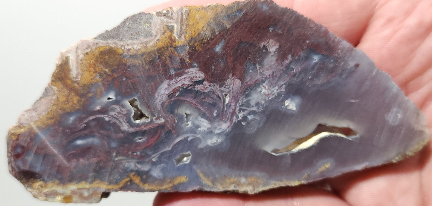 Rodeo Flats Red Plume Agate Slab