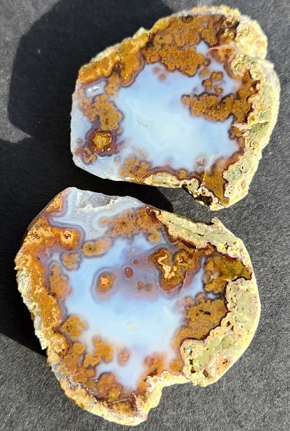 Polished Face Blue Agate Nodule with Chocolate Moss (pair)