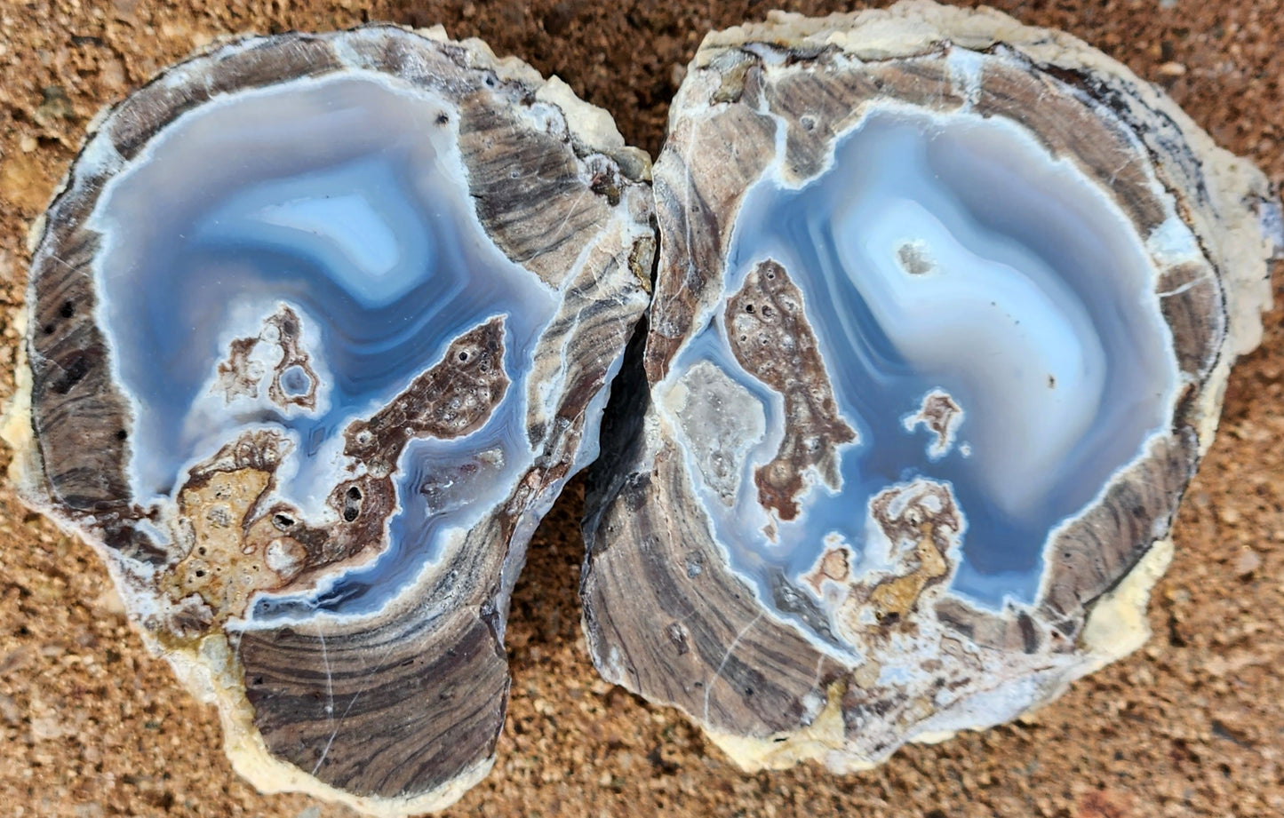 Polished Face Dugway Thunder Egg (Pair)