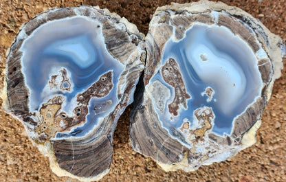 Polished Face Dugway Thunder Egg (Pair)