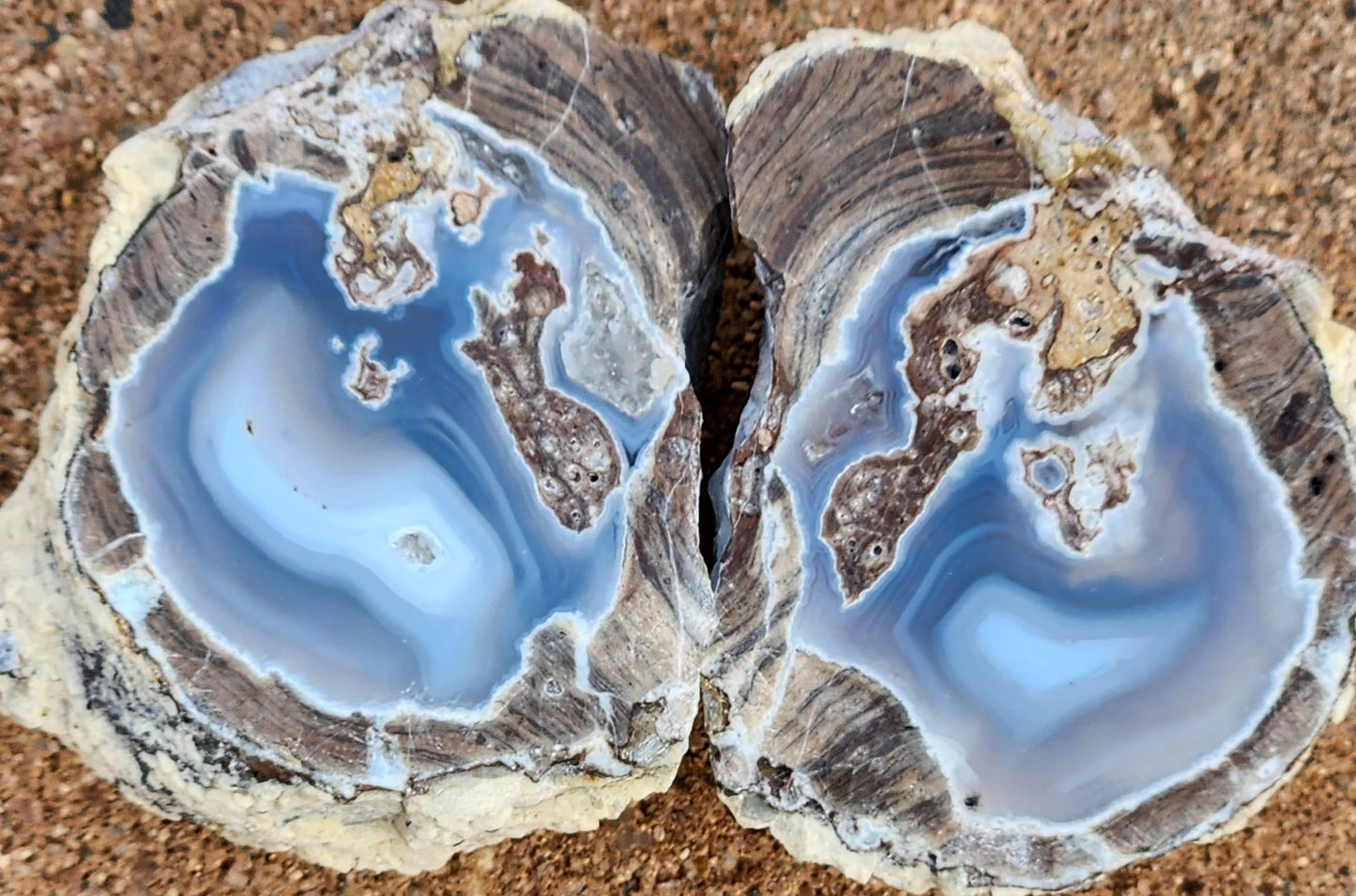 Polished Face Dugway Thunder Egg (Pair)