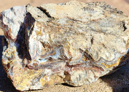 Polished Face Agate/Banded Onyx with Red/Green Moss