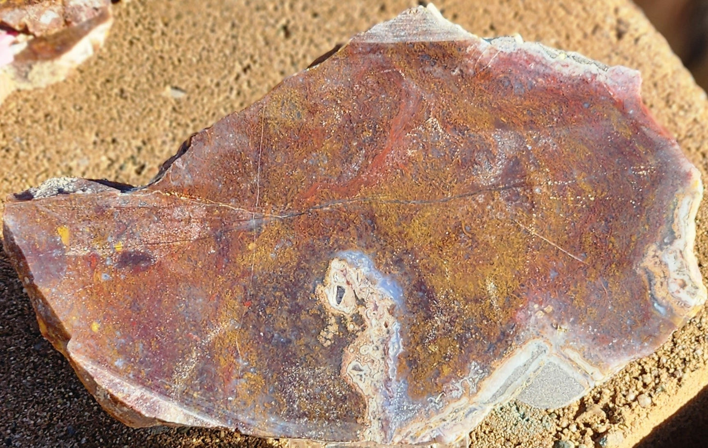 Losa de ágata musgosa roja/naranja de Gap Creek