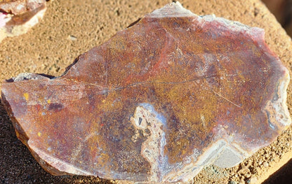 Losa de ágata musgosa roja/naranja de Gap Creek