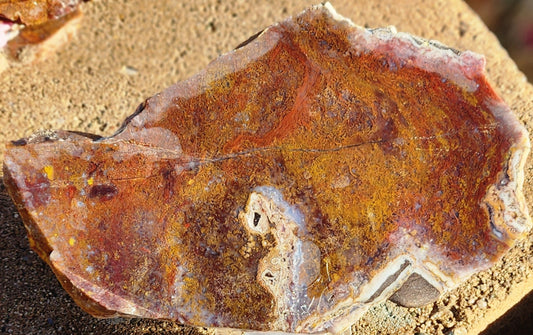 Gap Creek Red/Orange Moss Agate Slab