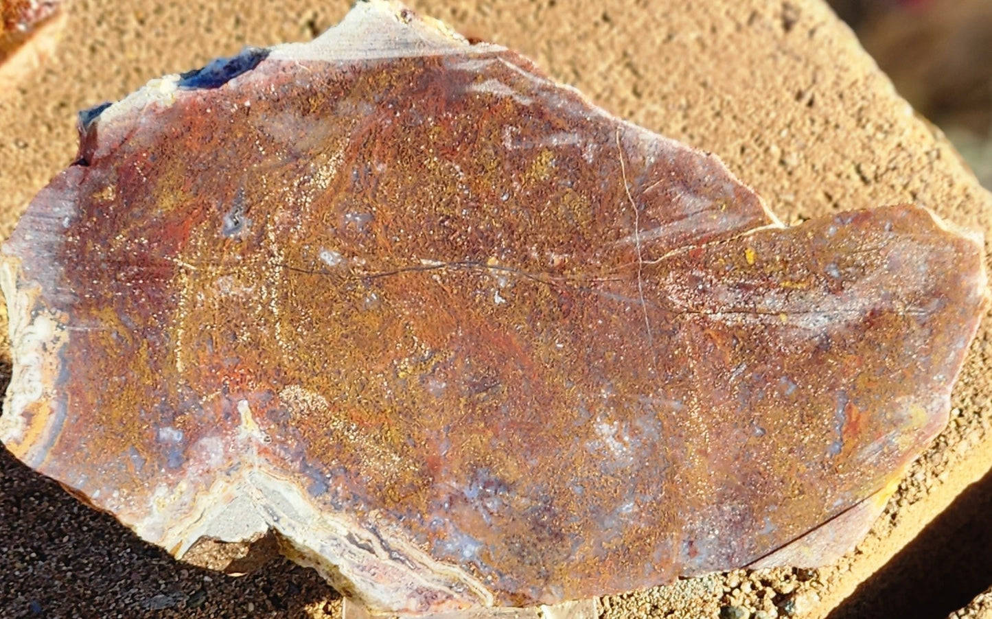 Losa de ágata musgosa roja/naranja de Gap Creek