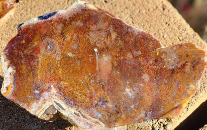 Losa de ágata musgosa roja/naranja de Gap Creek