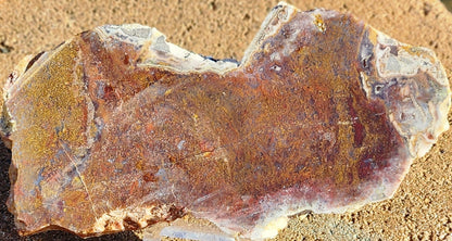 Gap Creek Red/Orange Moss Agate Slab