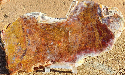 Gap Creek Red/Orange Moss Agate Slab