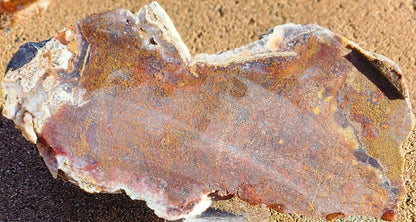 Gap Creek Red/Orange Moss Agate Slab