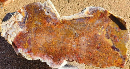 Gap Creek Red/Orange Moss Agate Slab