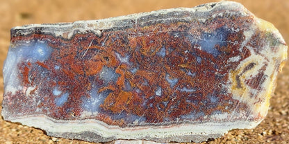 Rodeo Flats Red/Orange Plume Agate Slab