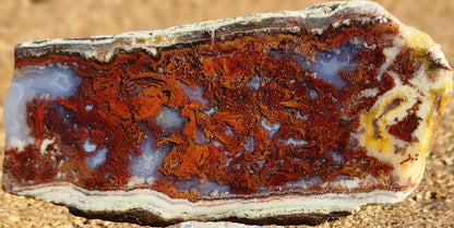 Rodeo Flats Red/Orange Plume Agate Slab