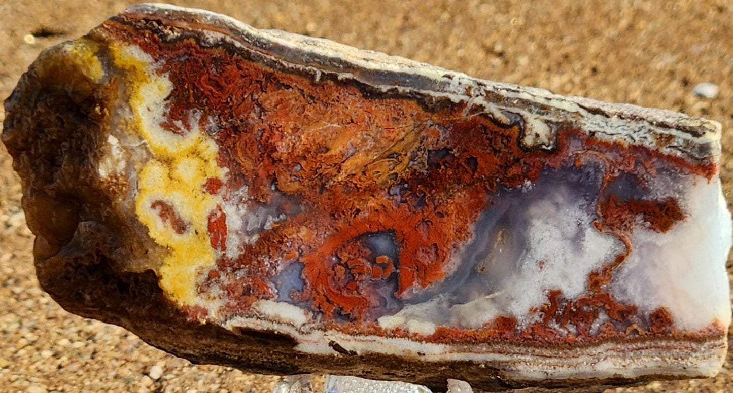 Rodeo Flats Red/Orange Plume Agate Slab