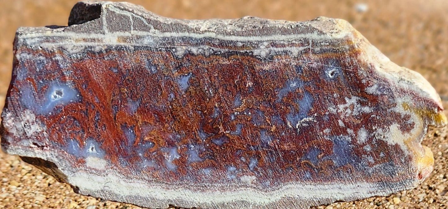 Rodeo Flats Red/Orange Plume Agate Slab