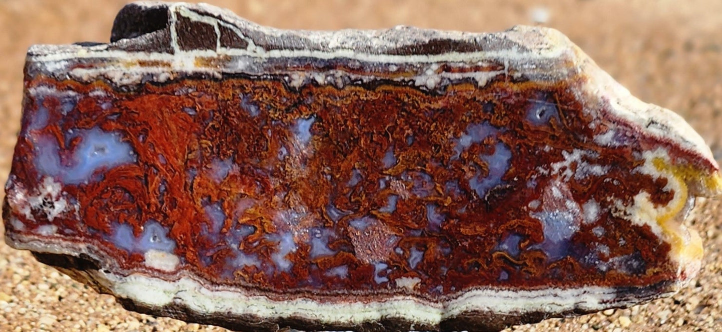 Rodeo Flats Red/Orange Plume Agate Slab