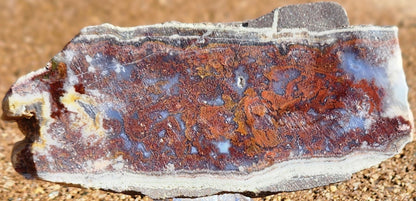 Rodeo Flats Red/Orange Plume Agate Slab