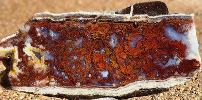 Rodeo Flats Red/Orange Plume Agate Slab