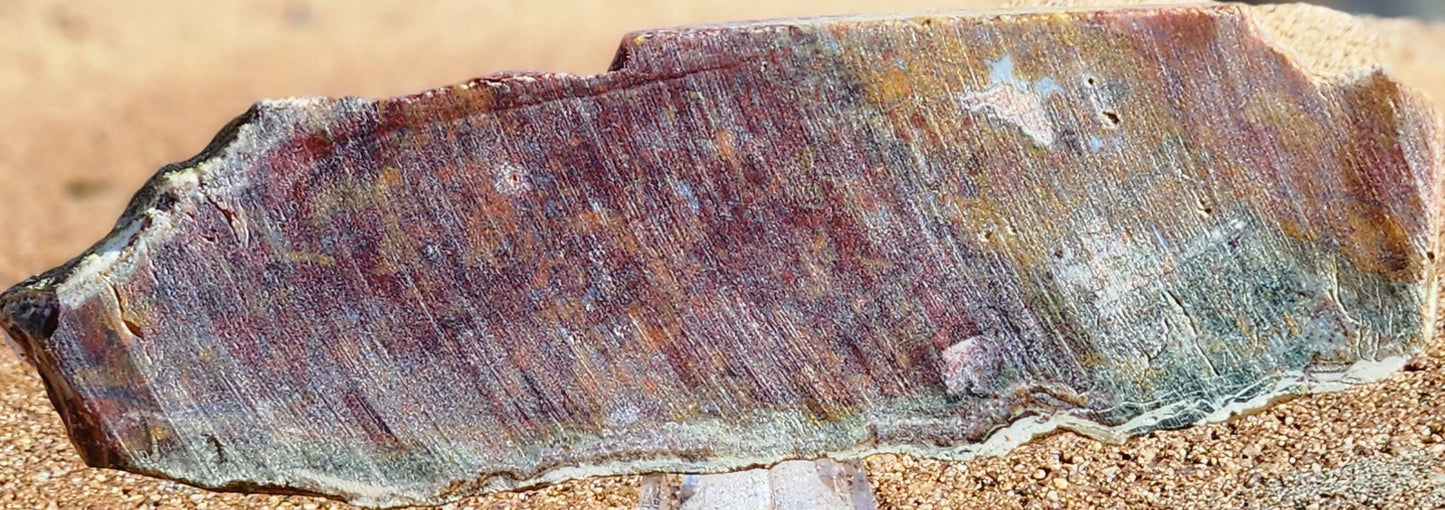 Rodeo Flats Red/Orange Plume Agate Slab
