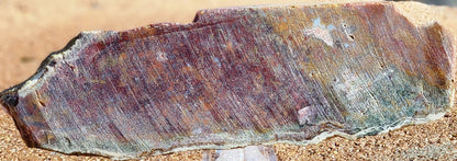 Rodeo Flats Red/Orange Plume Agate Slab