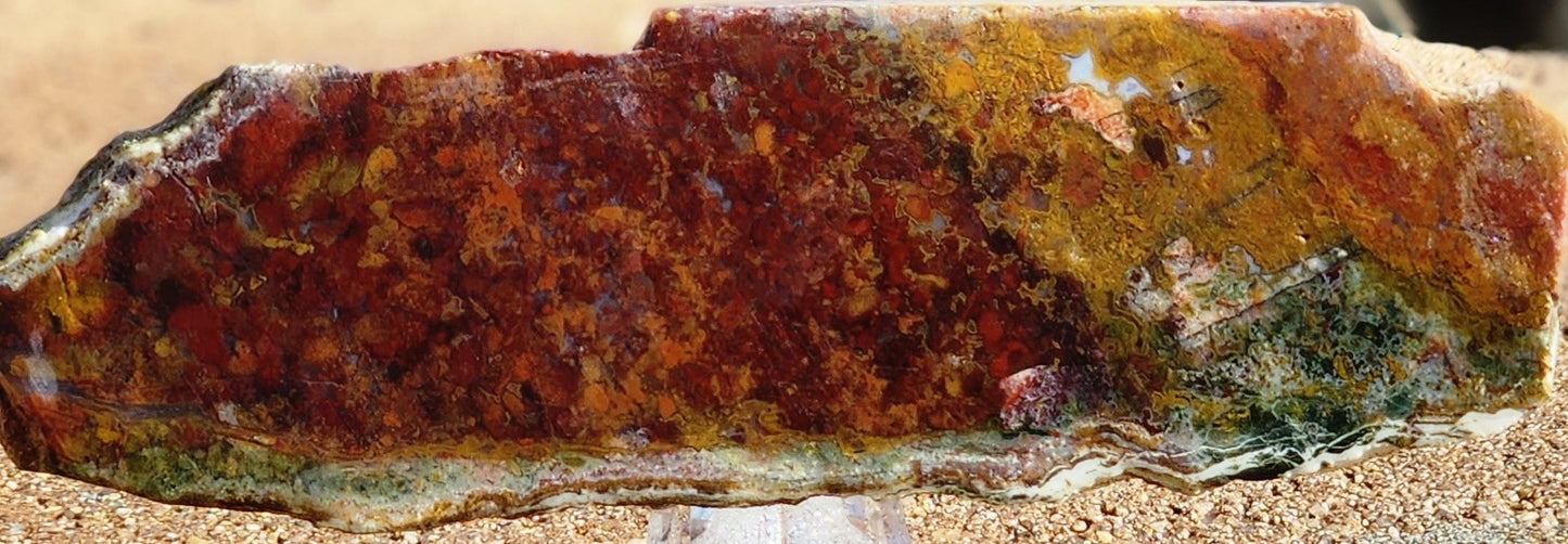 Rodeo Flats Red/Orange Plume Agate Slab