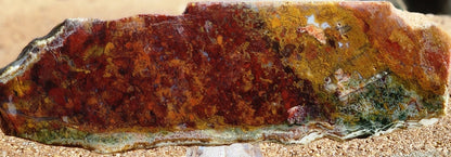 Rodeo Flats Red/Orange Plume Agate Slab