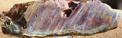 Rodeo Flats Red/Orange Plume Agate Slab