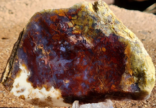 Rodeo Flats Red/Orange Plume Agate Slab