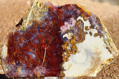 Losa de ágata con penacho rojo/naranja de Rodeo Flats
