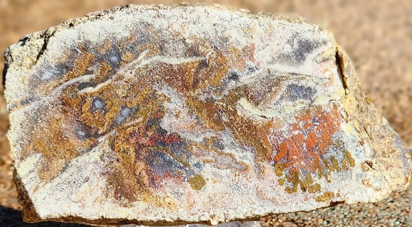Gap Creek Orange Plume Agate with Onyx Slab