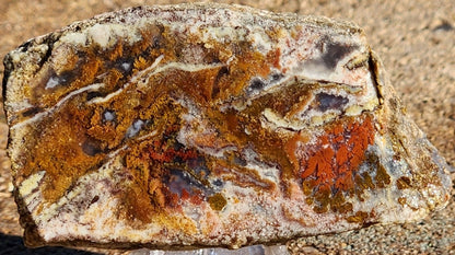 Gap Creek Orange Plume Agate with Onyx Slab