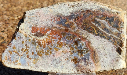 Gap Creek Orange Plume Agate with Onyx Slab
