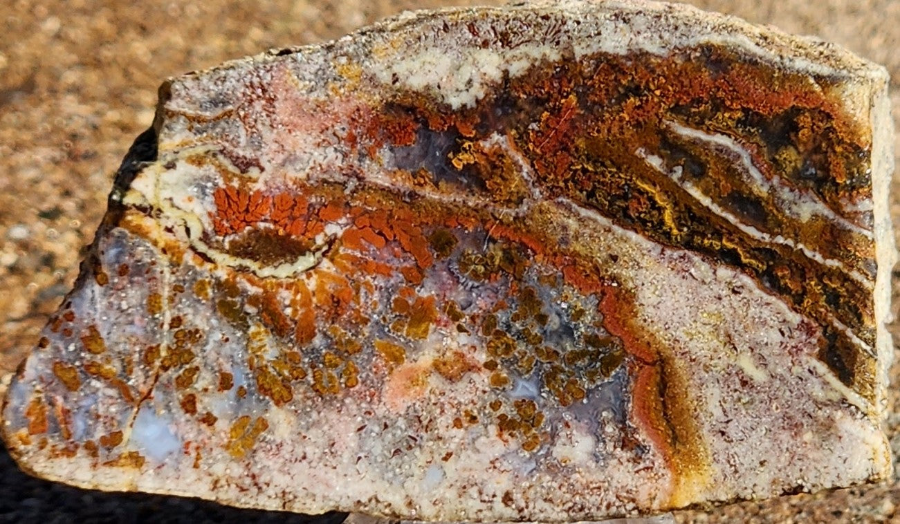 Gap Creek Orange Plume Agate with Onyx Slab