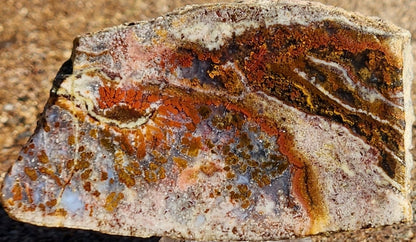 Gap Creek Orange Plume Agate with Onyx Slab