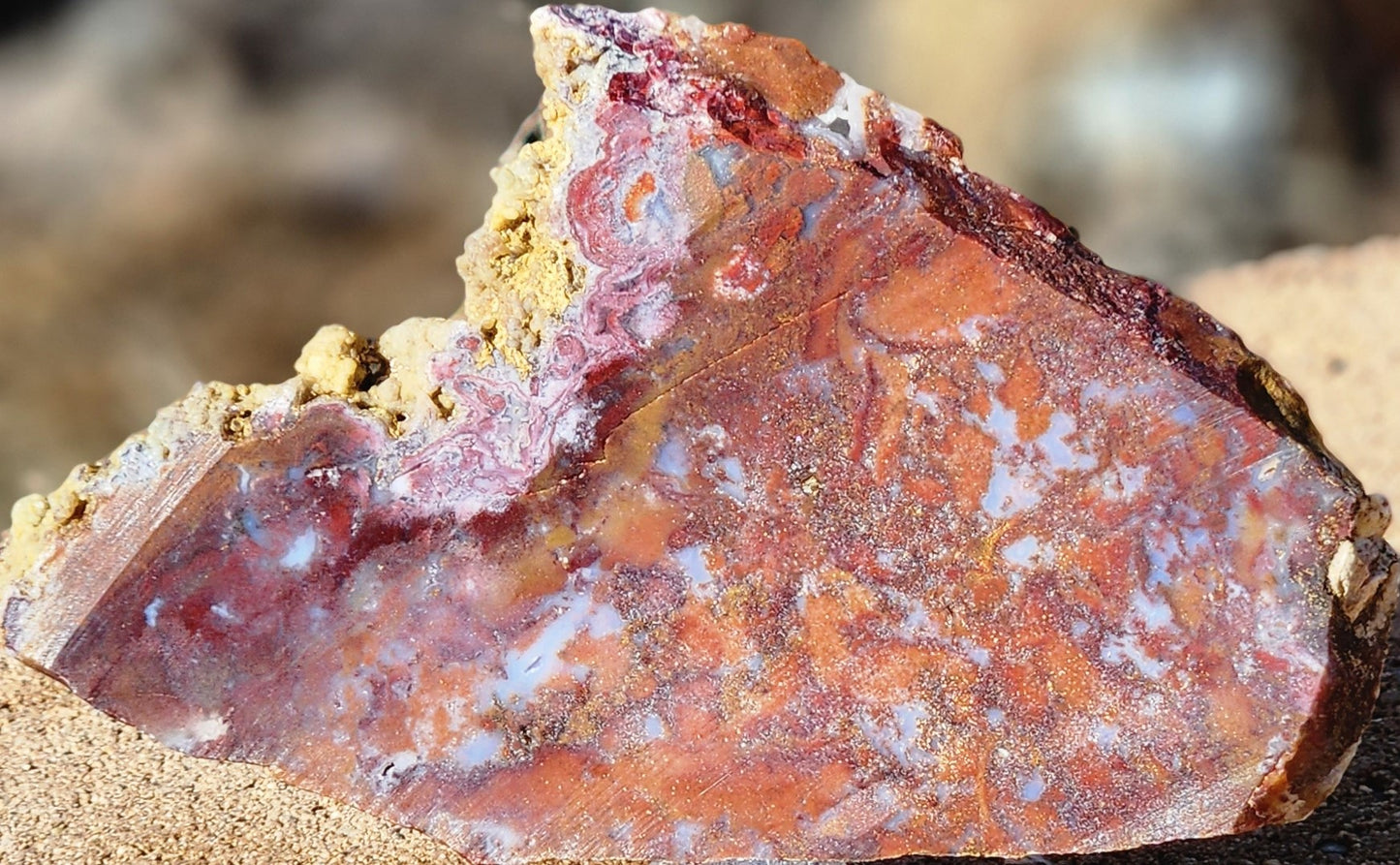 Rodeo Flats Red/Orange Moss Agate Slab